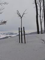  9. Dezember 2012 - und jetzt hat der Winter Besitz von der Landmark ergriffen - eine Schiksalskälte